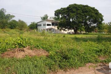 Property id175ls Land for sale in Hangdong 2-2-41 Rai near Grand Canyon water park