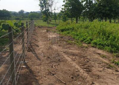 Property id175ls Land for sale in Hangdong 2-2-41 Rai near Grand Canyon water park