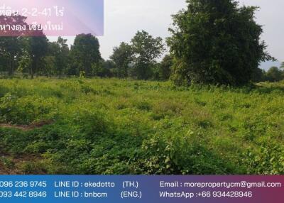 Property id175ls Land for sale in Hangdong 2-2-41 Rai near Grand Canyon water park