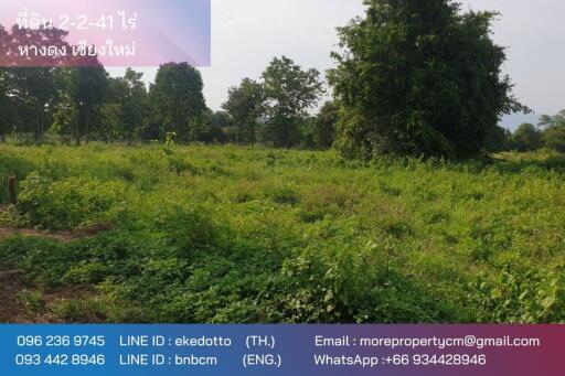 Property id175ls Land for sale in Hangdong 2-2-41 Rai near Grand Canyon water park