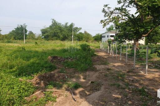 Property id175ls Land for sale in Hangdong 2-2-41 Rai near Grand Canyon water park