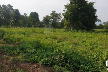 Property id175ls Land for sale in Hangdong 2-2-41 Rai near Grand Canyon water park