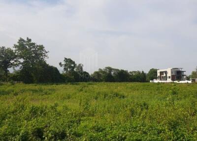 Property id175ls Land for sale in Hangdong 2-2-41 Rai near Grand Canyon water park