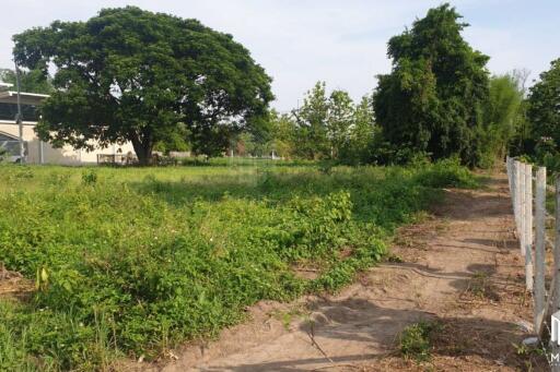 Property id175ls Land for sale in Hangdong 2-2-41 Rai near Grand Canyon water park