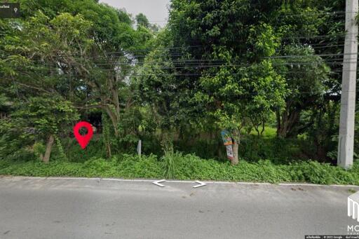 land for sale chiang mai 10-3-66 sq.wa san phi suea