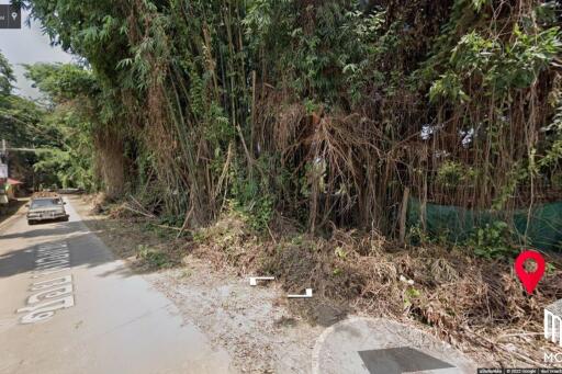 land for sale chiang mai 10-3-66 sq.wa san phi suea