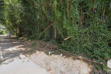 land for sale chiang mai 10-3-66 sq.wa san phi suea