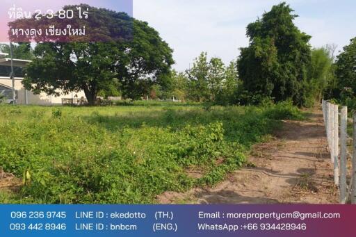 Property id177ls Land for sale in Hangdong 2-3-80 Rai near Grand Canyon water park