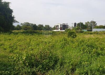 Property id177ls Land for sale in Hangdong 2-3-80 Rai near Grand Canyon water park