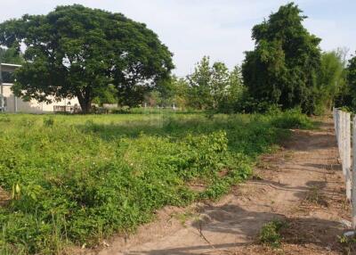 Property id177ls Land for sale in Hangdong 2-3-80 Rai near Grand Canyon water park