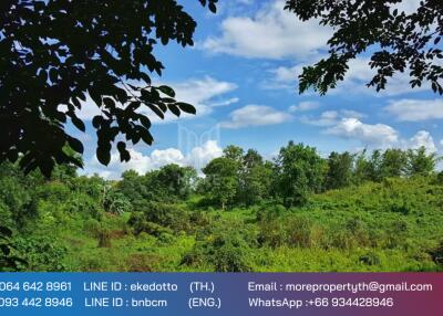 More-067LS Land for sale in Chiang Mai 123 Rai , next to the road 1095, near the intersection of Mae Malai-Pai, Mae Taeng, Chiang Mai.