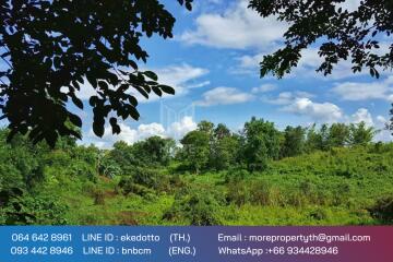More-067LS Land for sale in Chiang Mai 123 Rai , next to the road 1095, near the intersection of Mae Malai-Pai, Mae Taeng, Chiang Mai.