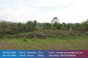 More-067LS Land for sale in Chiang Mai 123 Rai , next to the road 1095, near the intersection of Mae Malai-Pai, Mae Taeng, Chiang Mai.