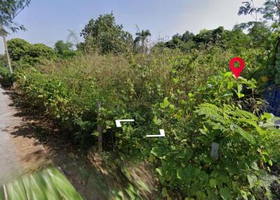 Property id016ls Land for sale in Saraphi 2- 0- 63 Rai near Wat Ko Prajamhong