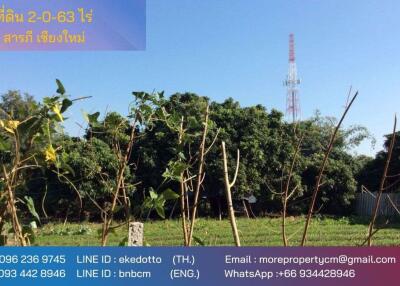 Property id016ls Land for sale in Saraphi 2- 0- 63 Rai near Wat Ko Prajamhong