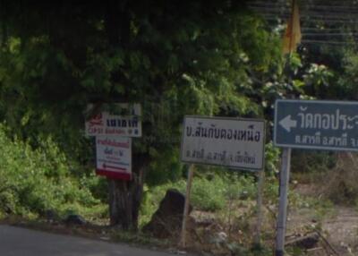 Property id016ls Land for sale in Saraphi 2- 0- 63 Rai near Wat Ko Prajamhong