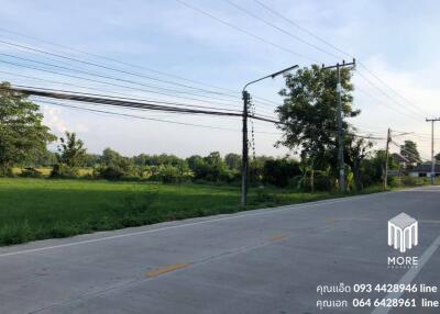 Property id024ls Land for sale in San Khum Phaeng 14-3-82 Rai near Buak Khang Municipality