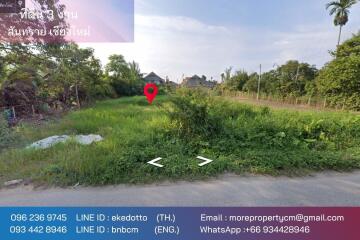 Property ID186LS Land for sale in San Sai, 3 Ngan near San Sai Hospital