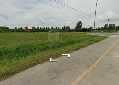 Property ID163LS Land for sale in Sai Pa Tong, 2 – 2 - 5 Rai.,near PTT Station Thung Ruang Thong (Mae Wang)