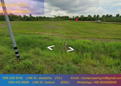 Property ID163LS Land for sale in Sai Pa Tong, 2 – 2 - 5 Rai.,near PTT Station Thung Ruang Thong (Mae Wang)