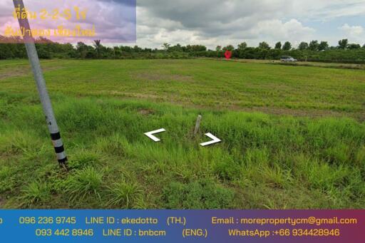 Property ID163LS Land for sale in Sai Pa Tong, 2 – 2 - 5 Rai.,near PTT Station Thung Ruang Thong (Mae Wang)