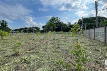 Land for sale in San Kamphaeng, 1 rai, 1 ngan, 68 sq m, near Payap University (ID:233LS)