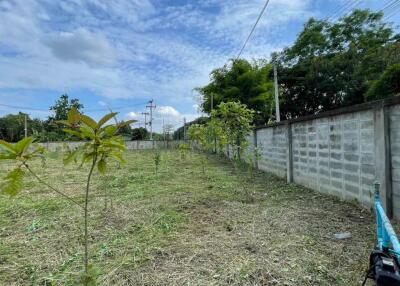 Land for sale in San Kamphaeng, 1 rai, 1 ngan, 68 sq m, near Payap University (ID:233LS)