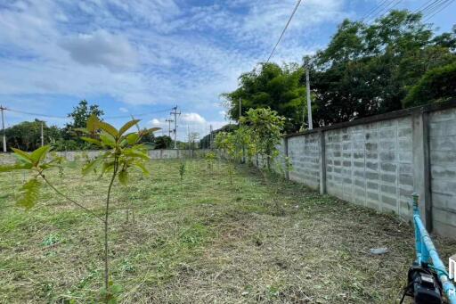 Land for sale in San Kamphaeng, 1 rai, 1 ngan, 68 sq m, near Payap University (ID:233LS)
