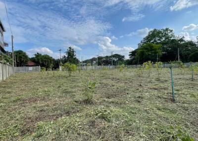 Land for sale in San Kamphaeng, 1 rai, 1 ngan, 68 sq m, near Payap University (ID:233LS)