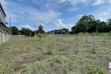 Land for sale in San Kamphaeng, 1 rai, 1 ngan, 68 sq m, near Payap University (ID:233LS)