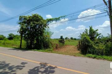 Property id 180ls Land for sale in San Kham Phaeng 7-3-53 Rai near Mae Kue Market