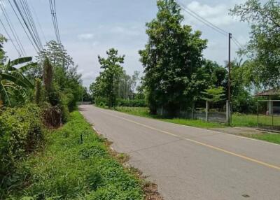 Property id 180ls Land for sale in San Kham Phaeng 7-3-53 Rai near Mae Kue Market