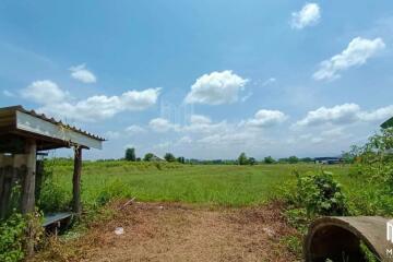 Property id 180ls Land for sale in San Kham Phaeng 7-3-53 Rai near Mae Kue Market