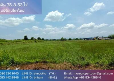 Property id 180ls Land for sale in San Kham Phaeng 7-3-53 Rai near Mae Kue Market