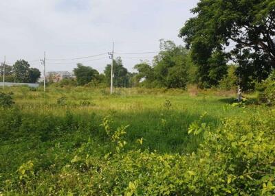 Property id174ls Land for sale in Hangdong 9-0-49Rai near Grand Canyon Water park