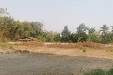 Property id 129ls land for sale 2-0-57 sq.wa.near Chiangmai city hall,Changpuek