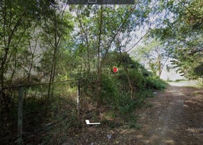 Property id148ls Land for sale in sanpa tong 61-2-40 Rai nearban piang