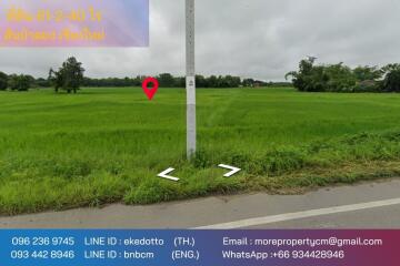 Property id148ls Land for sale in sanpa tong 61-2-40 Rai nearban piang