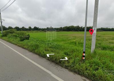 Property id148ls Land for sale in sanpa tong 61-2-40 Rai nearban piang