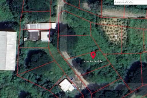 Property id1262ls sale 3 plot of lands 1 rai 1 ngan 60 sq.wa. near Supha bee, Mae Rim