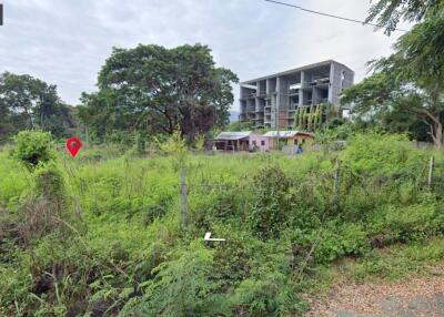 Property id1262ls sale 3 plot of lands 1 rai 1 ngan 60 sq.wa. near Supha bee, Mae Rim