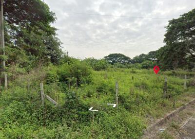 Property id1262ls sale 3 plot of lands 1 rai 1 ngan 60 sq.wa. near Supha bee, Mae Rim