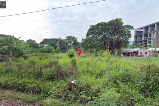 Property id1262ls sale 3 plot of lands 1 rai 1 ngan 60 sq.wa. near Supha bee, Mae Rim