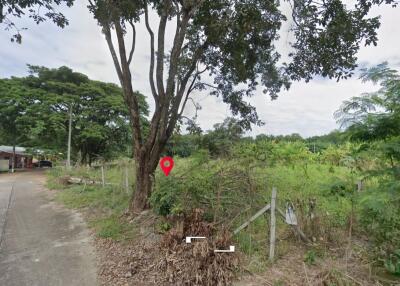 Property id1262ls sale 3 plot of lands 1 rai 1 ngan 60 sq.wa. near Supha bee, Mae Rim