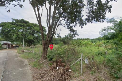 Property id1262ls sale 3 plot of lands 1 rai 1 ngan 60 sq.wa. near Supha bee, Mae Rim