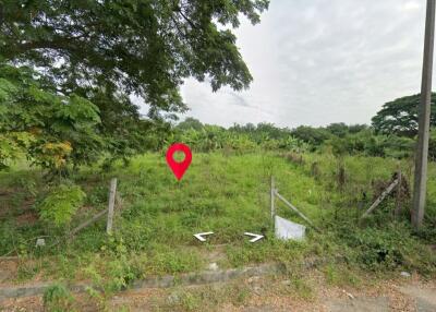 Property id1262ls sale 3 plot of lands 1 rai 1 ngan 60 sq.wa. near Supha bee, Mae Rim