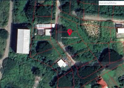 Property id1262ls sale 3 plot of lands 1 rai 1 ngan 60 sq.wa. near Supha bee, Mae Rim