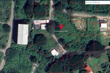 Property id1262ls sale 3 plot of lands 1 rai 1 ngan 60 sq.wa. near Supha bee, Mae Rim