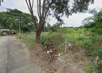 Property id1262ls sale 3 plot of lands 1 rai 1 ngan 60 sq.wa. near Supha bee, Mae Rim