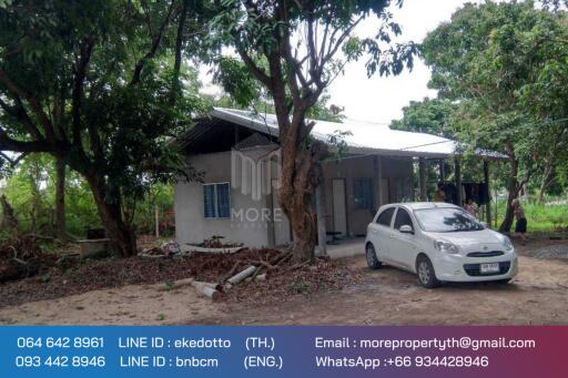 Property id 080LS Land for sale in Chiang Mai 1-2 - 12 rai, next to the main road, irrigation, Nam Phrae, Hang Dong district, Chiang Mai province.